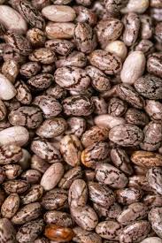 تصویر 1 از کنسرو لوبیا چیتی با سس چیلی 420 گرمی + قیمت باور نکردنی و به صرفه